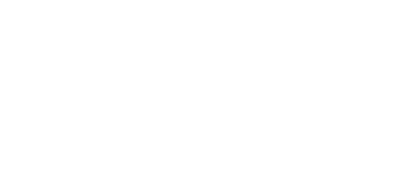 ویزہ partner logo