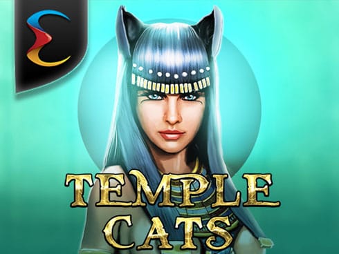 ٹیمپل کیٹس game screenshot